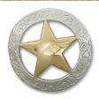 Gold Texas Star
