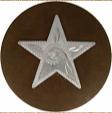 Nickle Engraved Star